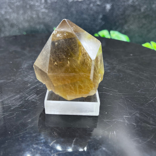 Gold Rutile in Quartz Point