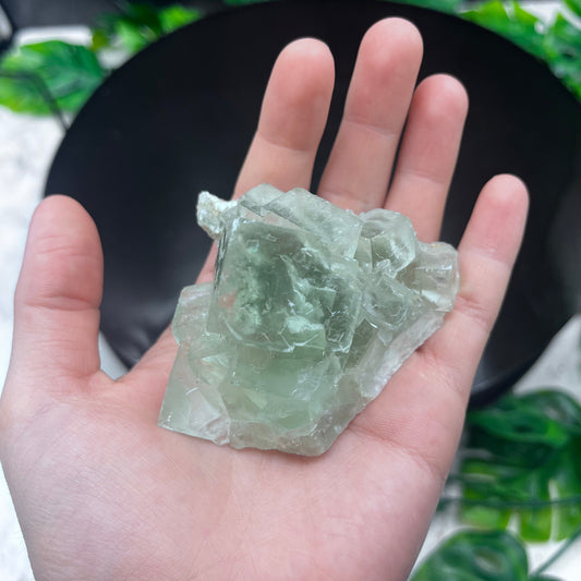 Green Fluorite Cluster