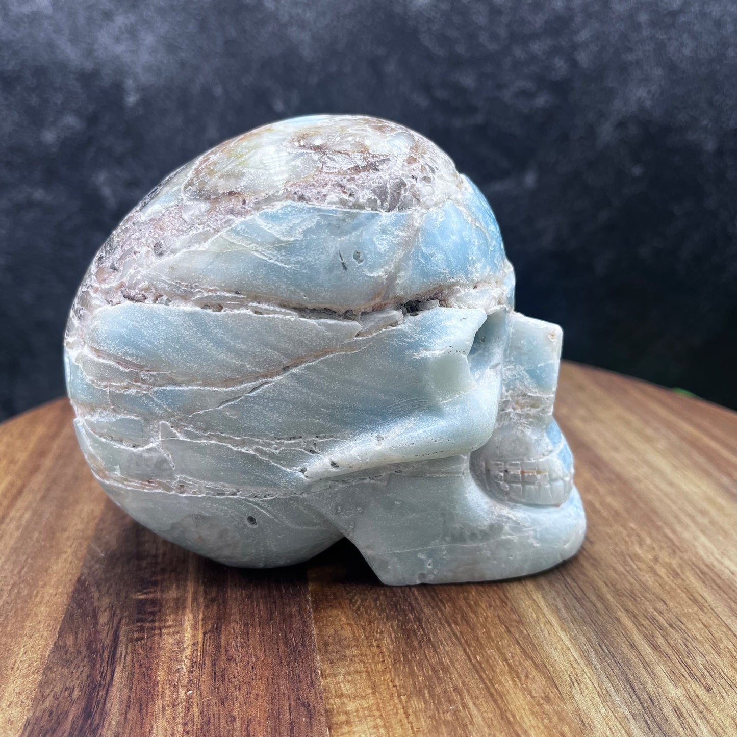 Caribbean Calcite Skull