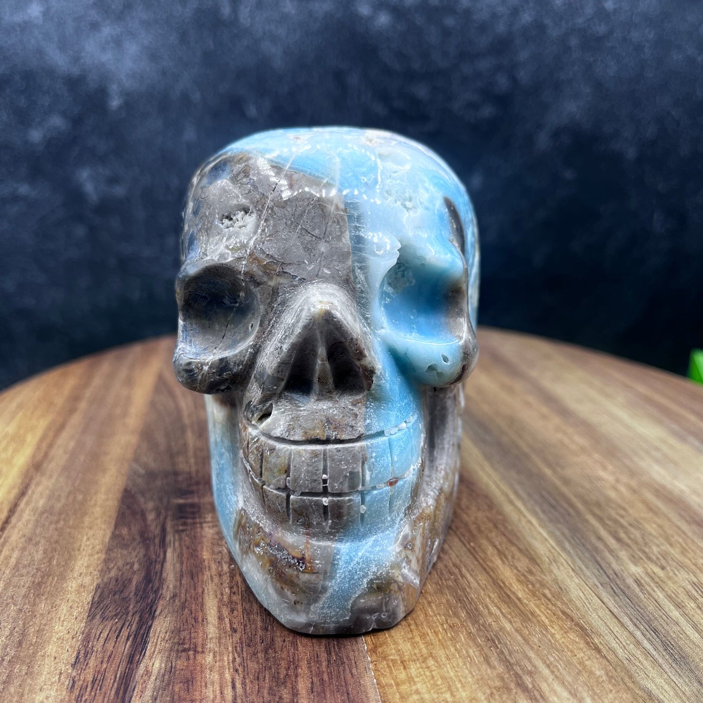 Caribbean Calcite Skull