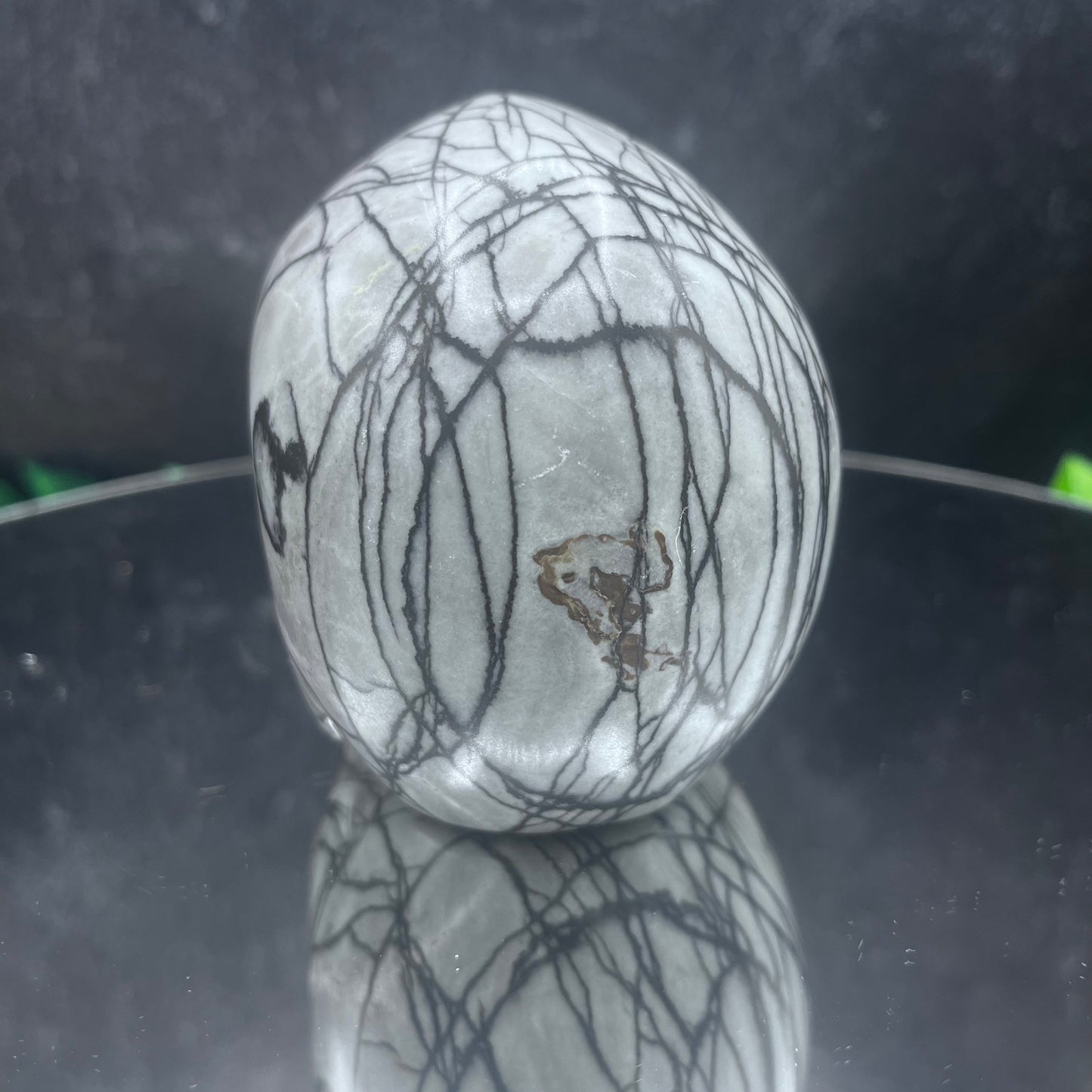 Spider Web Jasper Skull