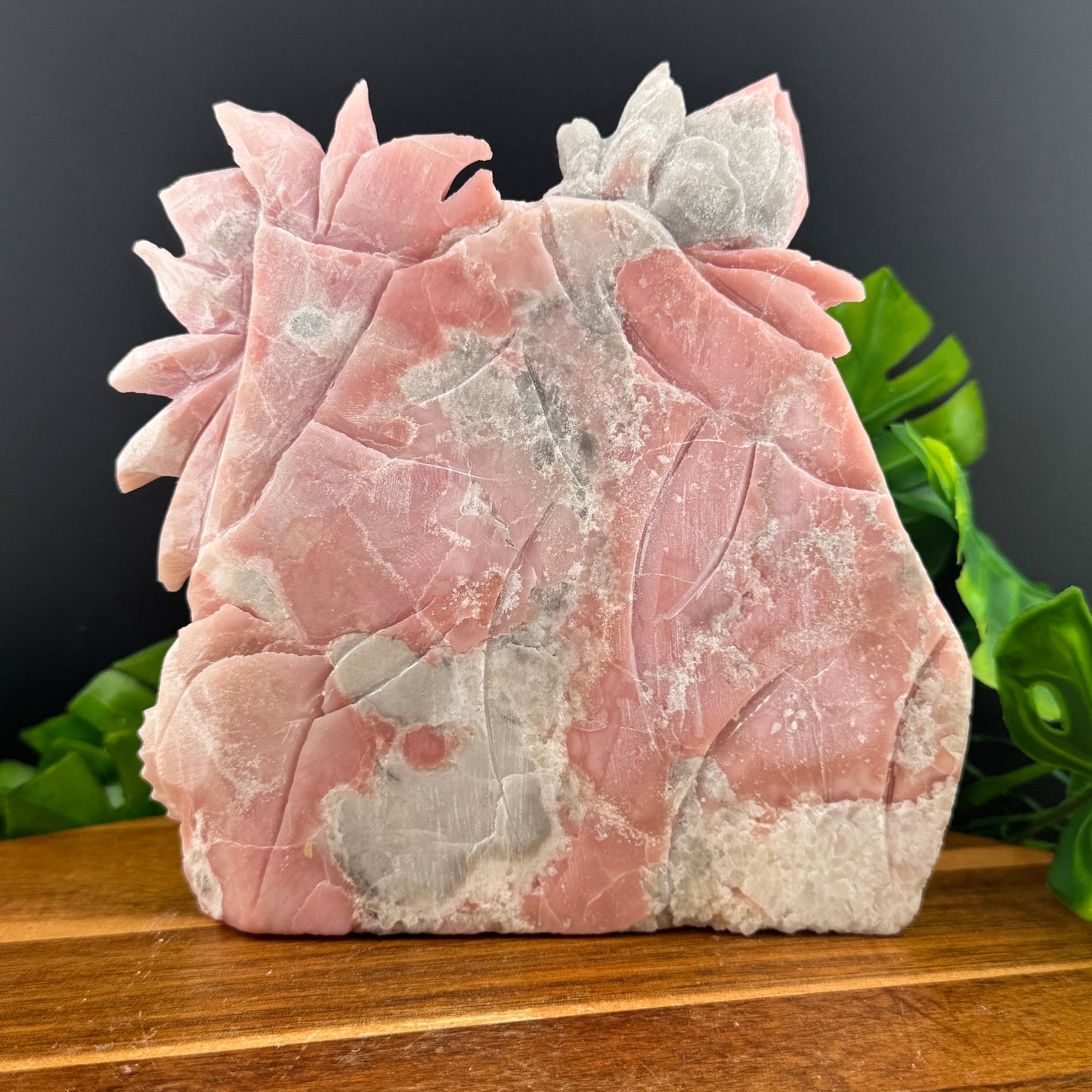 Pink Opal Tropical Fish Seascape