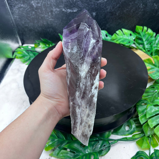 Amethyst Root