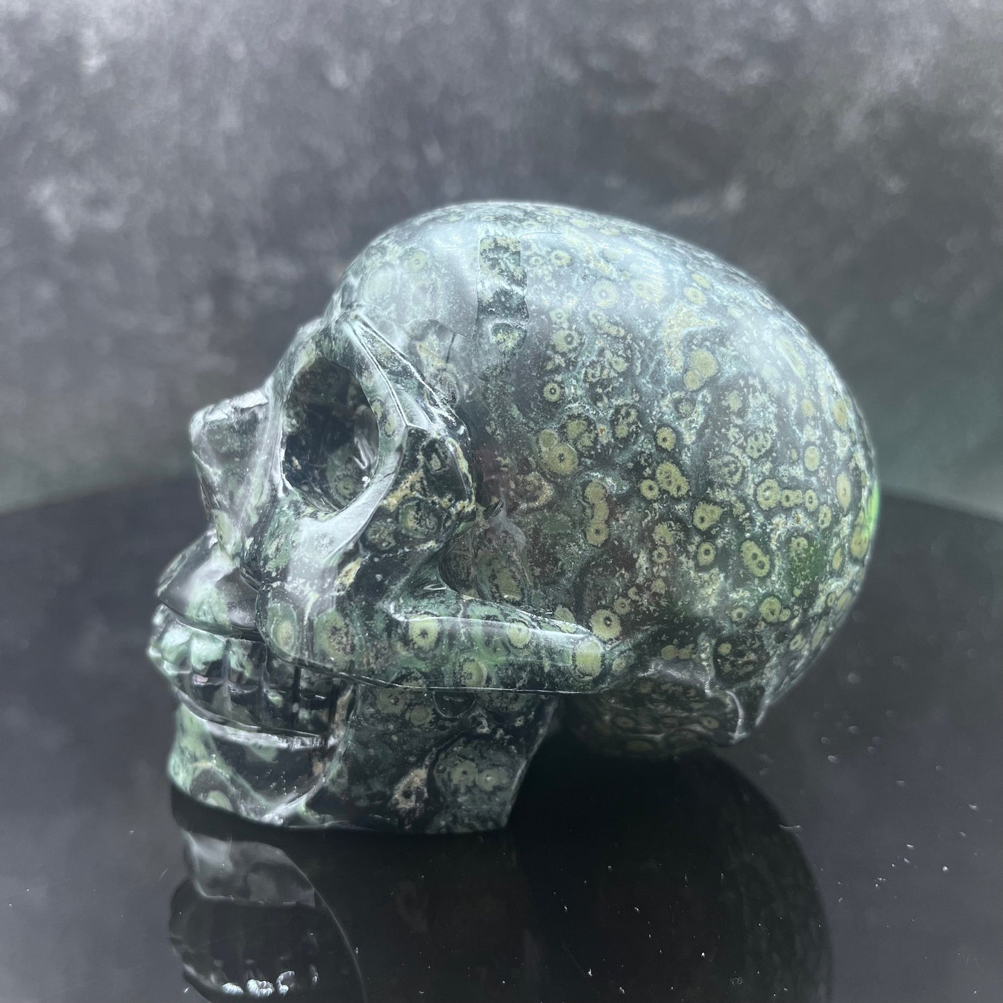 Kambaba Jasper Skull