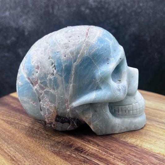 Caribbean Calcite Skull