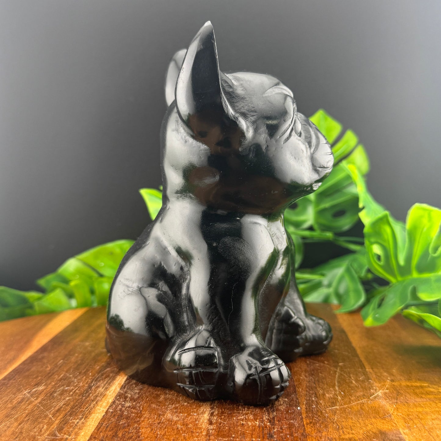 Black Obsidian Frenchie Carving