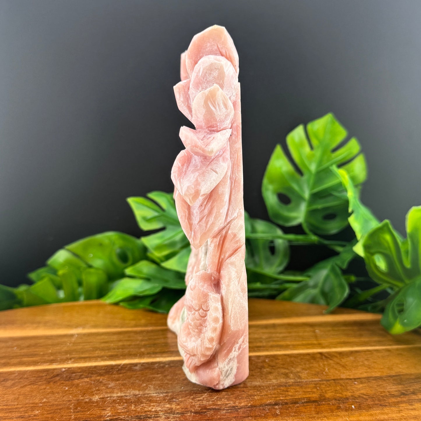 Pink Opal Tropical Fish Seascape