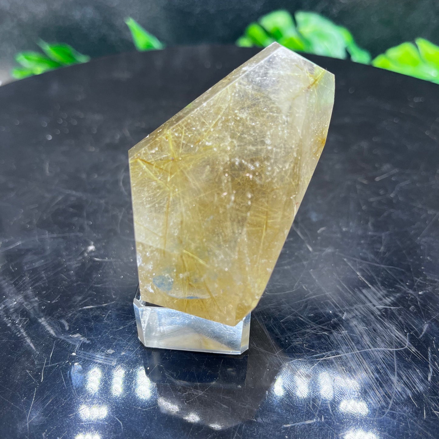 Gold Rutile in Quartz Freeform