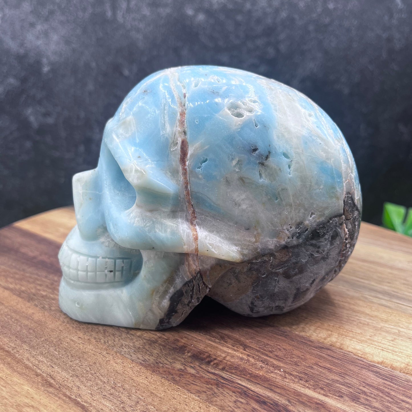 Caribbean Calcite Skull