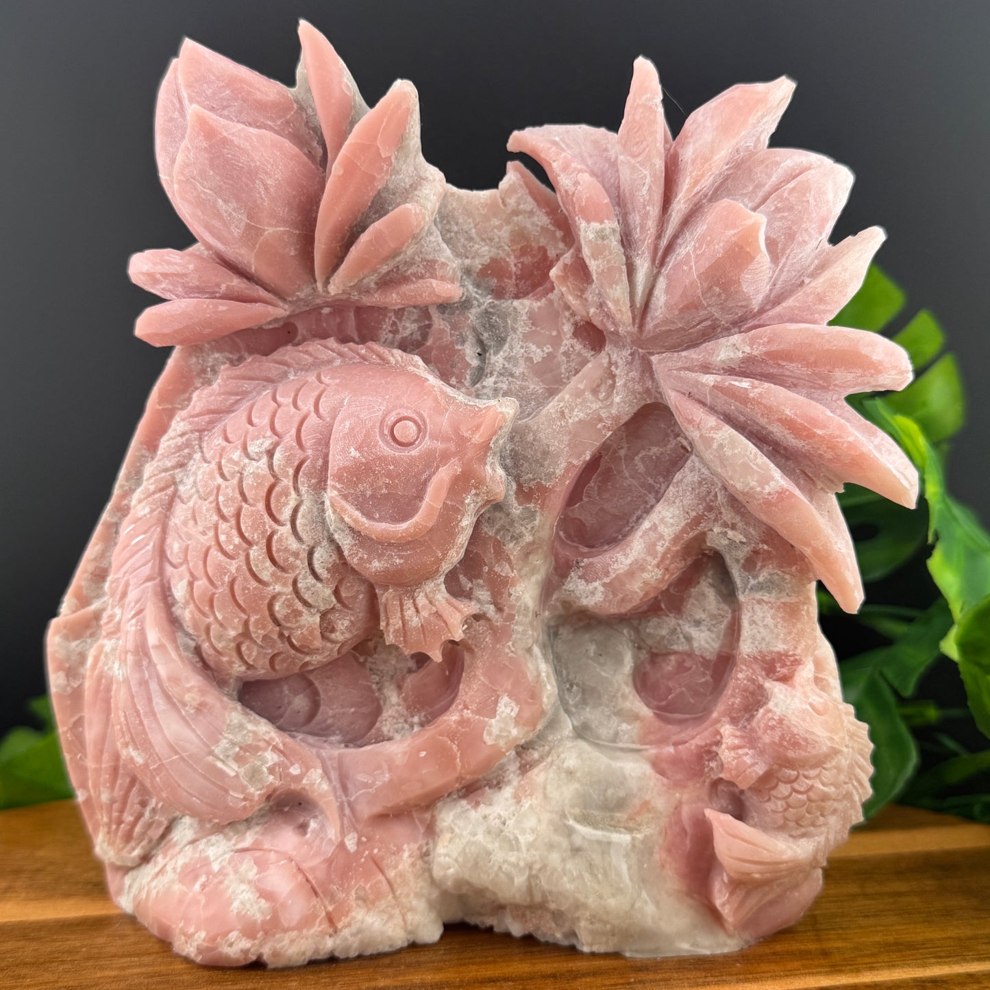 Pink Opal Tropical Fish Seascape