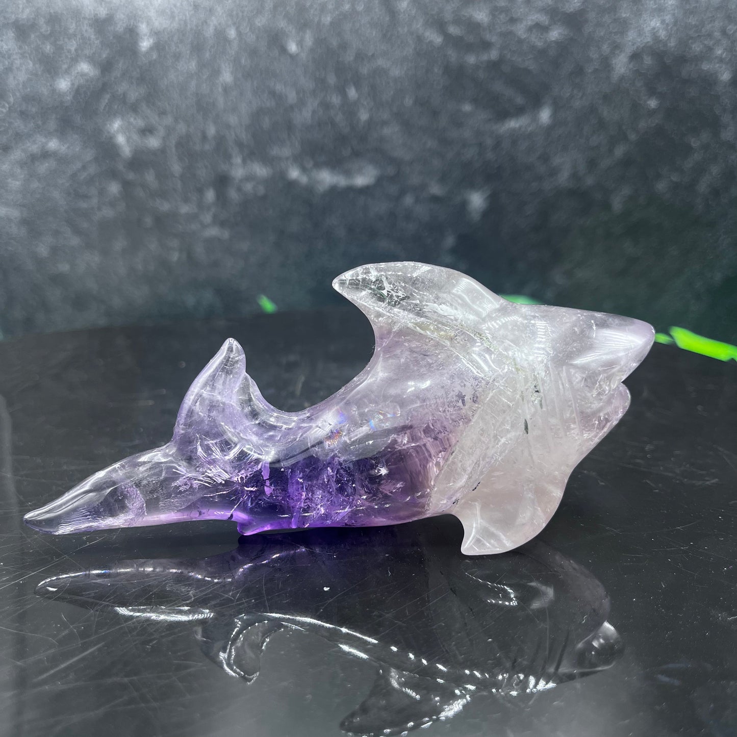Amethyst Shark