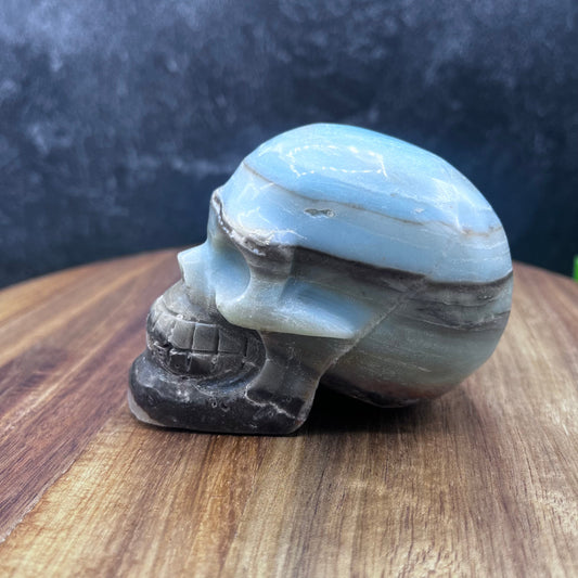 Caribbean Calcite Skull