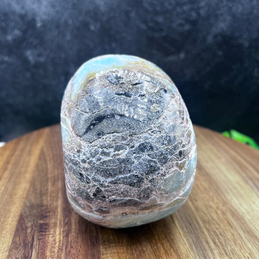 Caribbean Calcite Skull