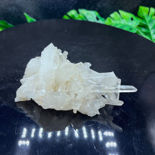 Clear Quartz Cluster