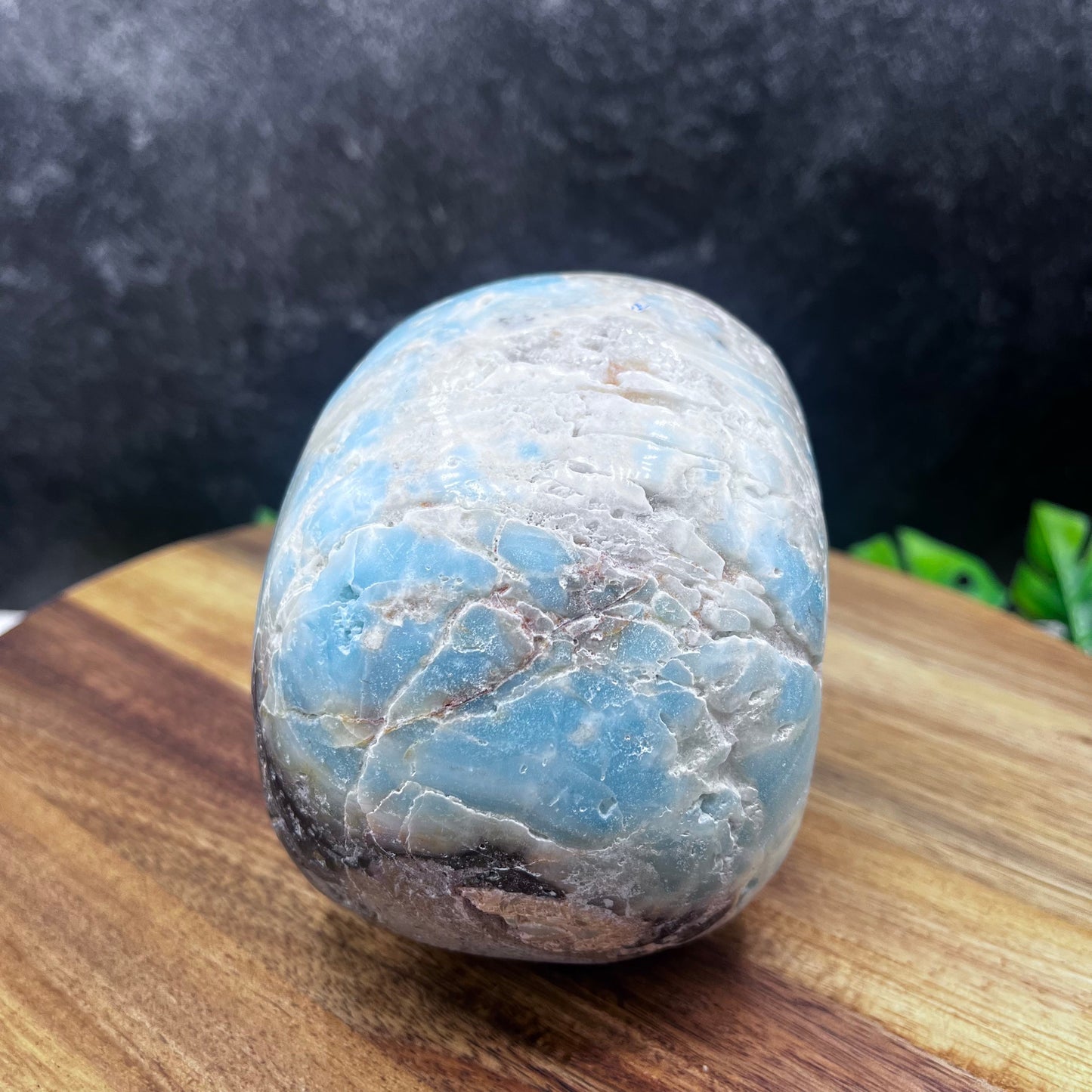 Caribbean Calcite Skull