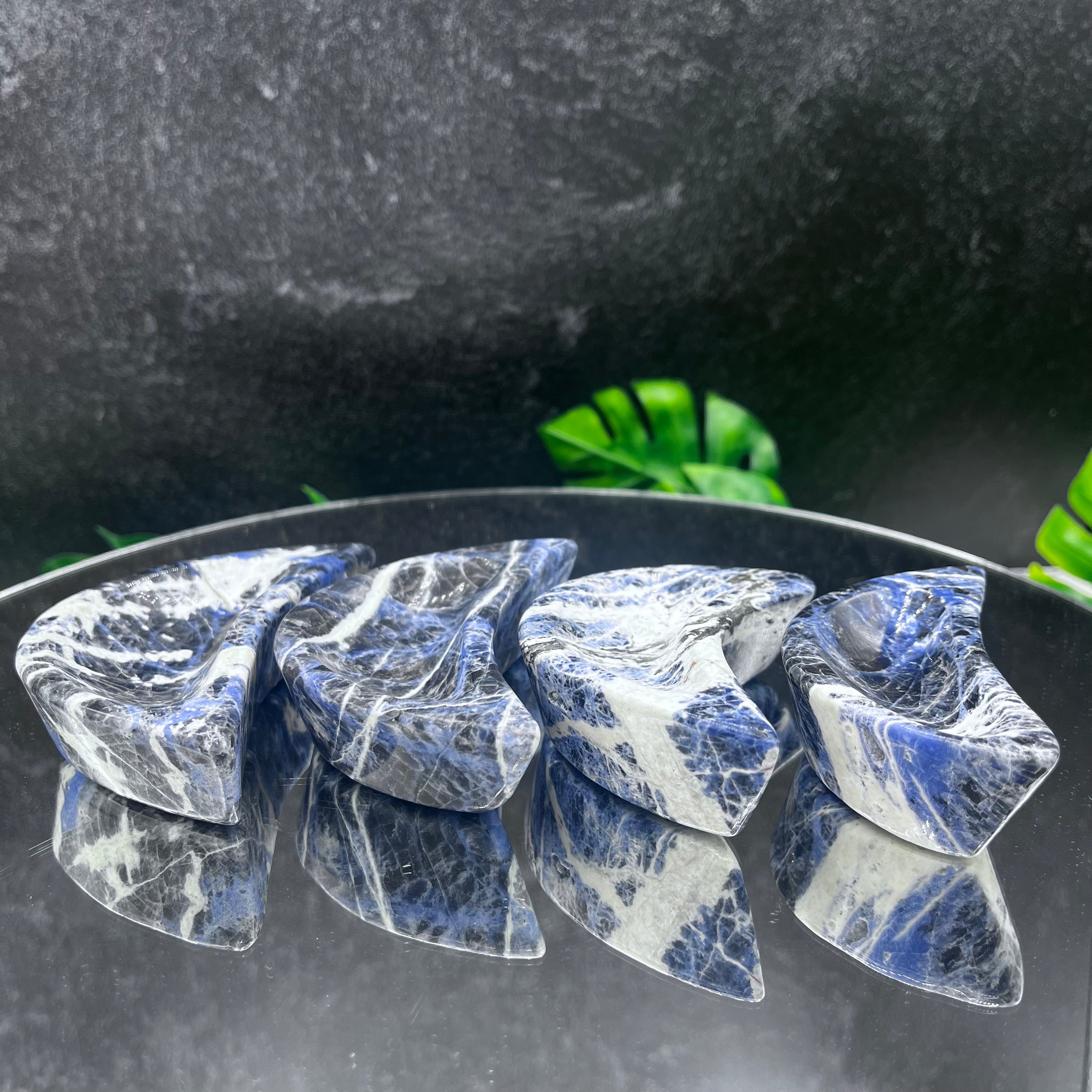 1131656_4 1131656_4