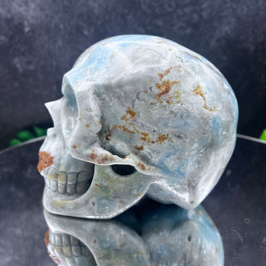 Caribbean Calcite Skull