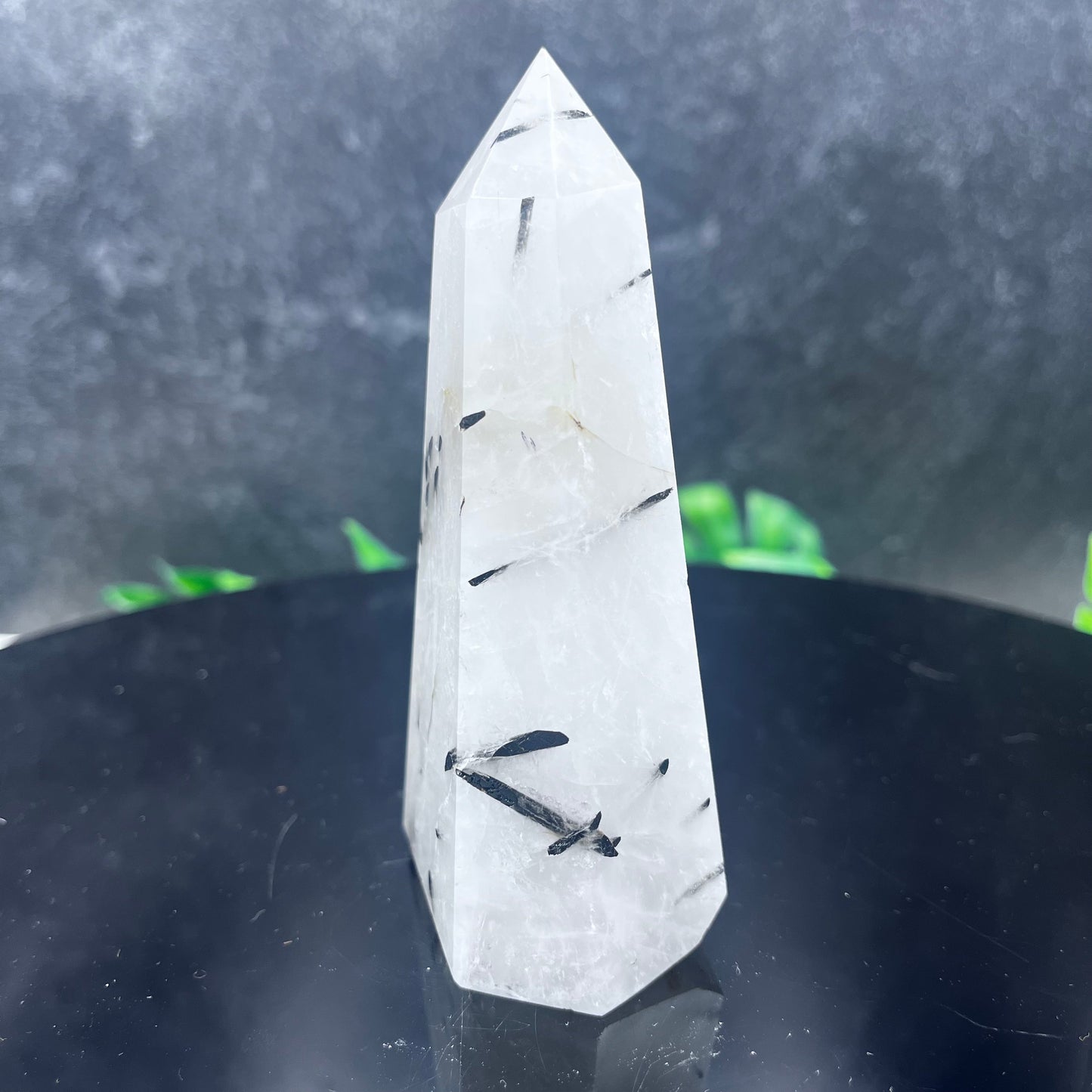 Black Tourmaline in Quartz Tower