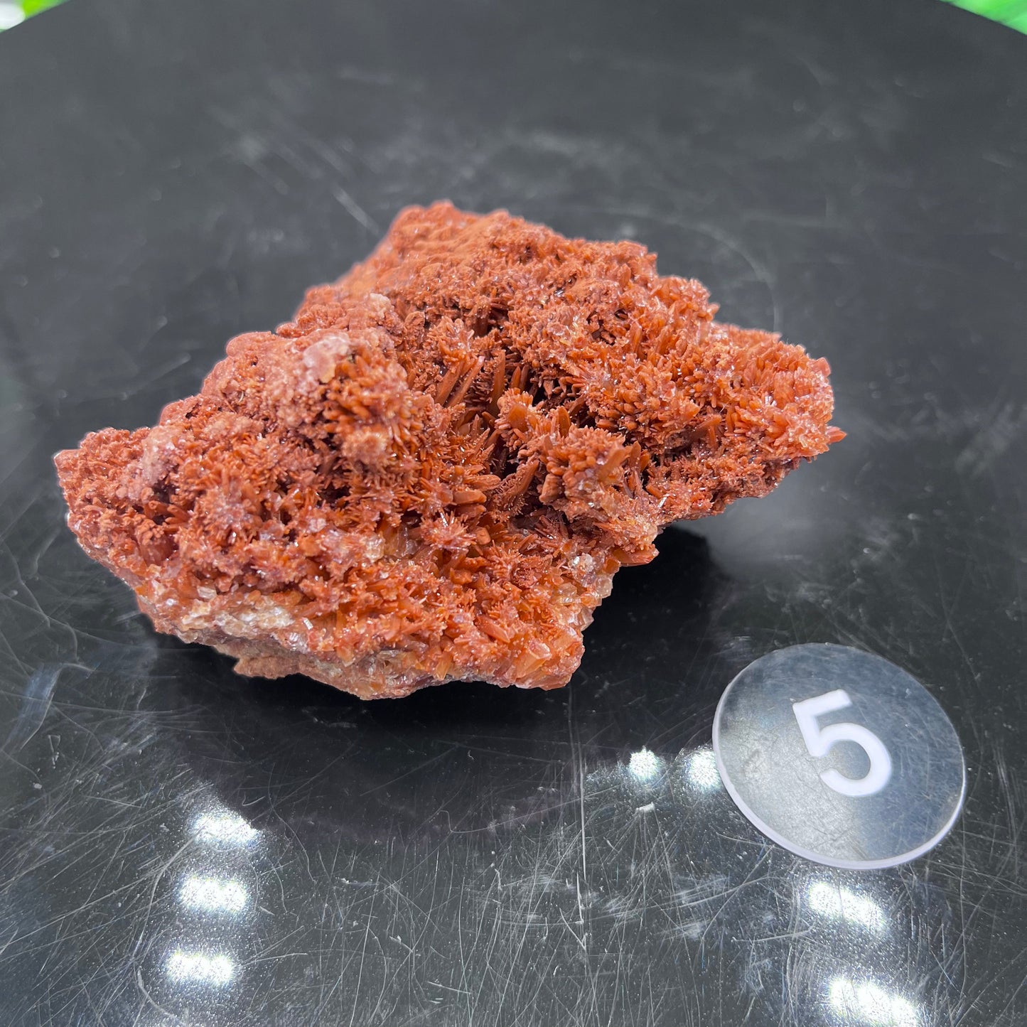 Starry Acicular Red Calcite Specimen