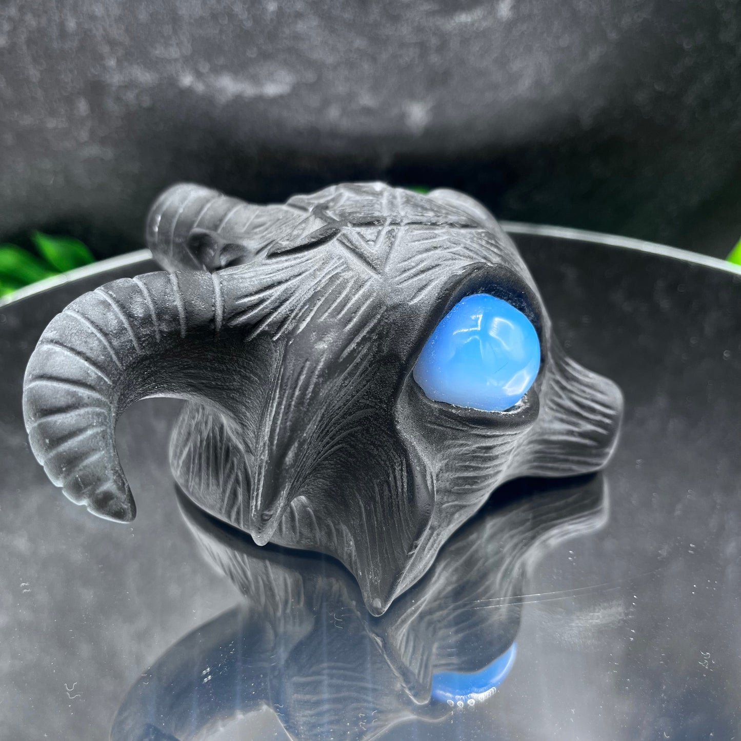 Black Obsidian Goat Head with Opalite Eyes