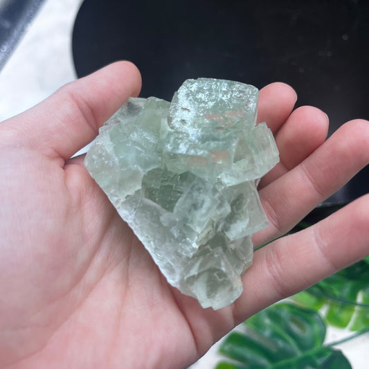 Green Fluorite Cluster
