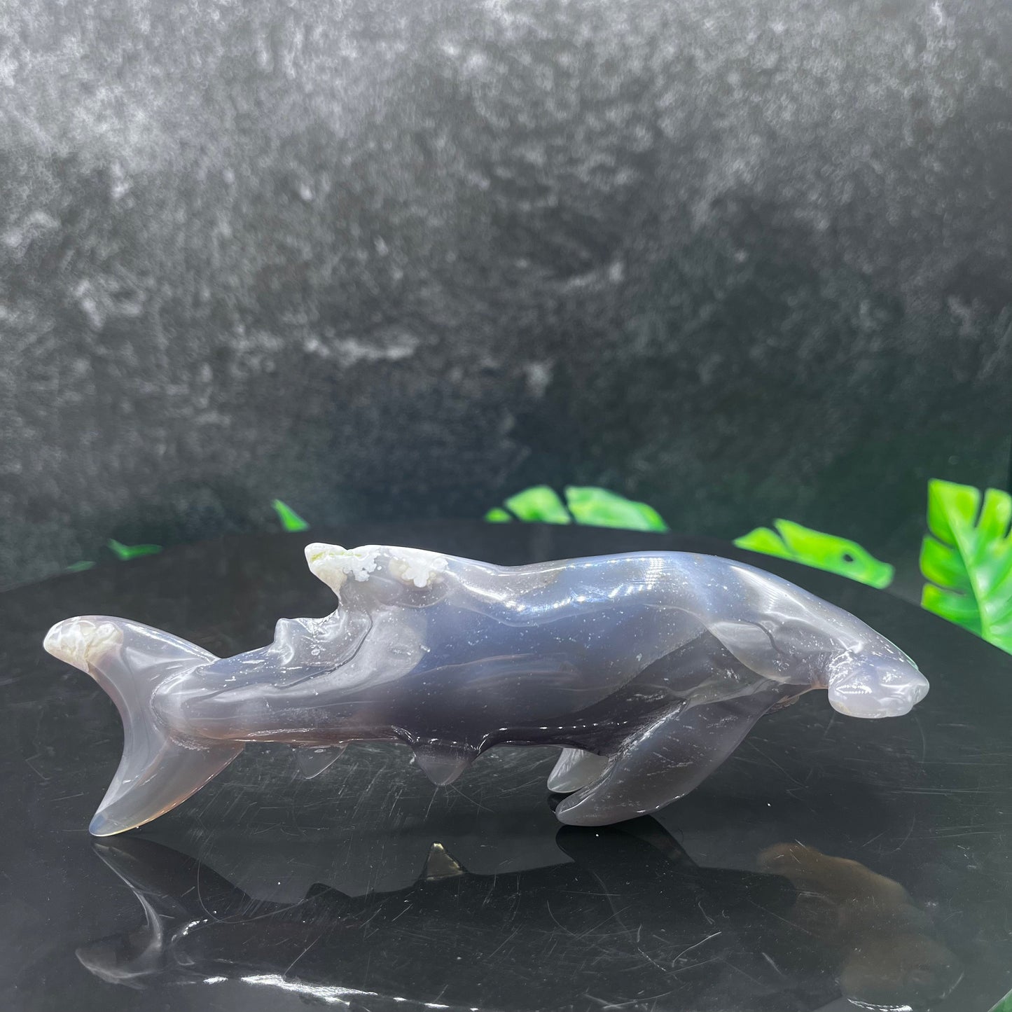 Agate Hammer Head Shark