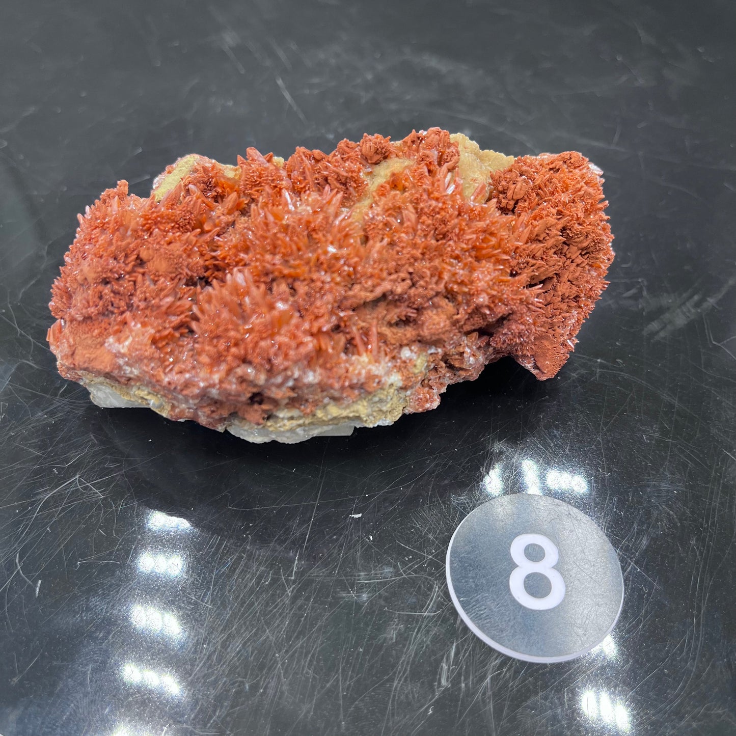 Starry Acicular Red Calcite Specimen