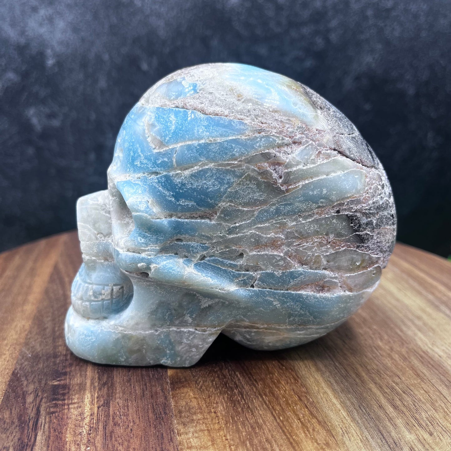 Caribbean Calcite Skull