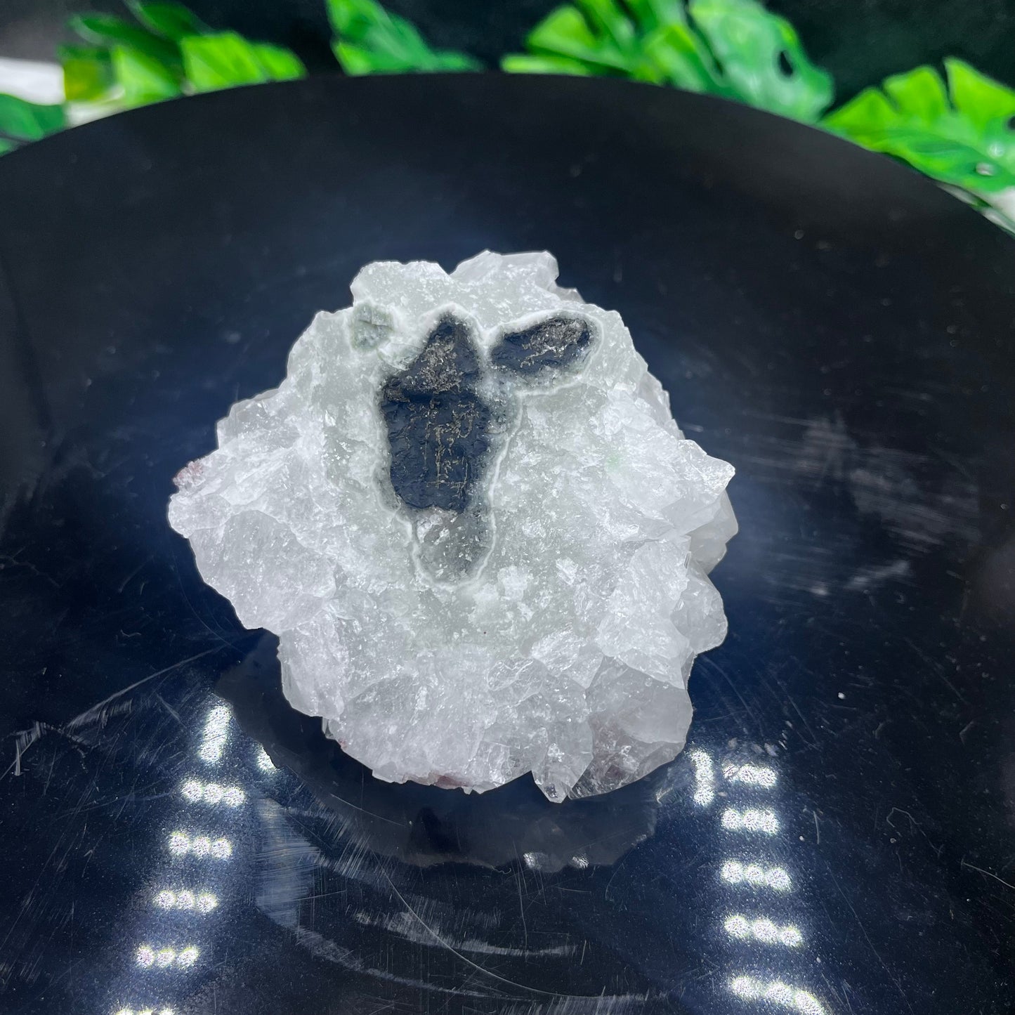 High Grade Apophyllite