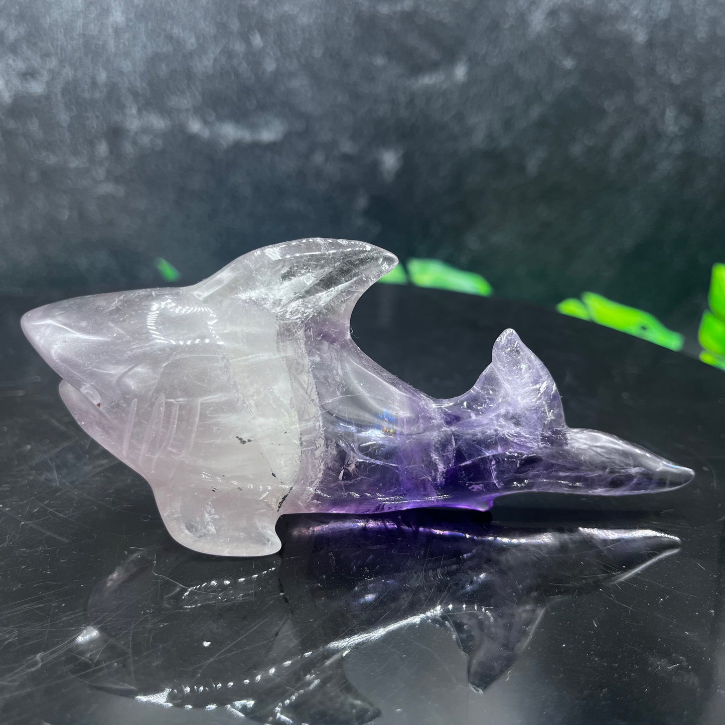 Amethyst Shark
