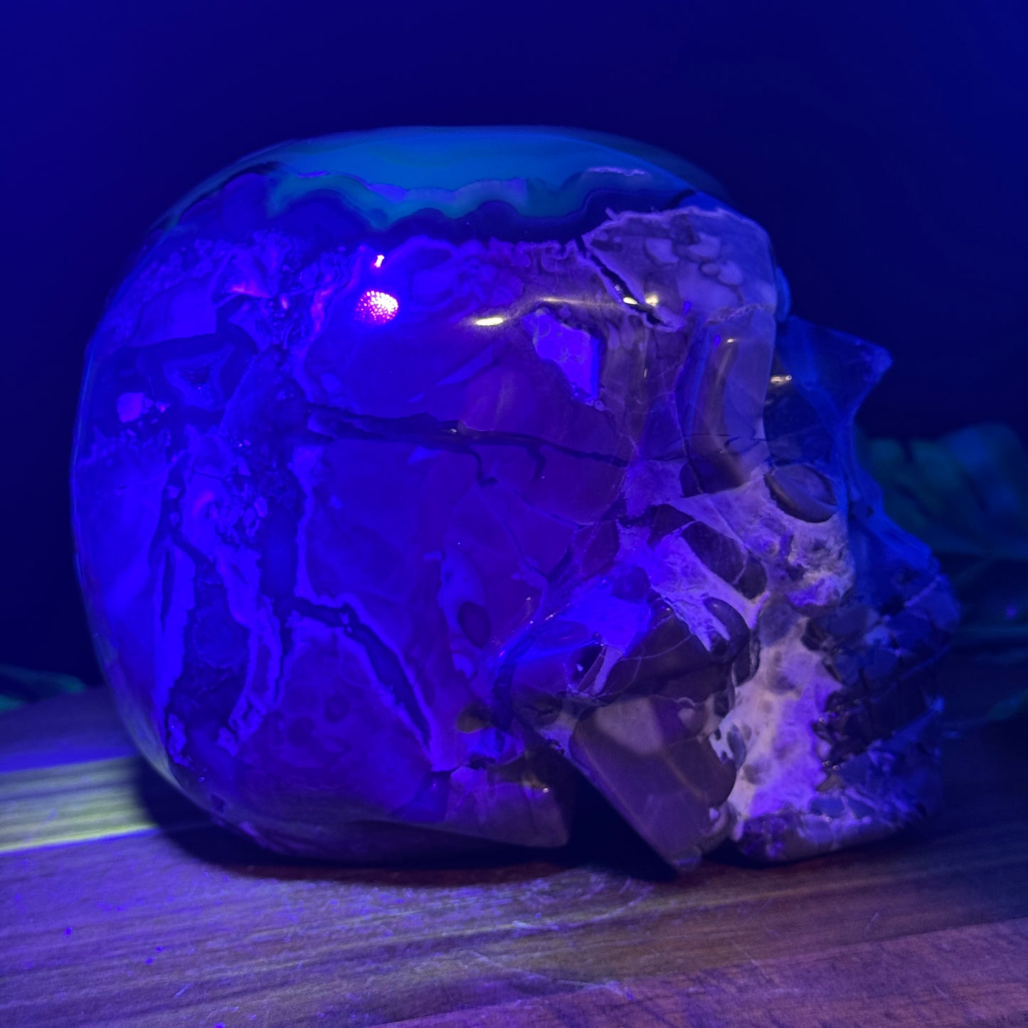 XL Botryoidal Volcano Agate Skull