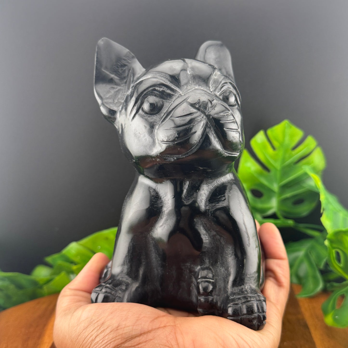 Black Obsidian Frenchie Carving