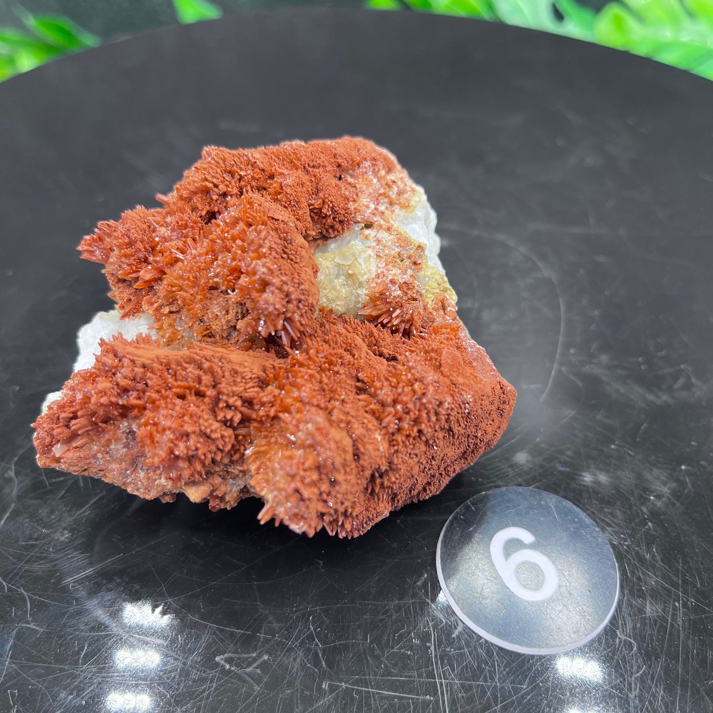 Starry Acicular Red Calcite Specimen
