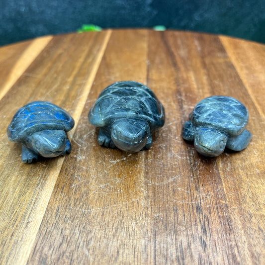 Labradorite Turtle Family (3pc)