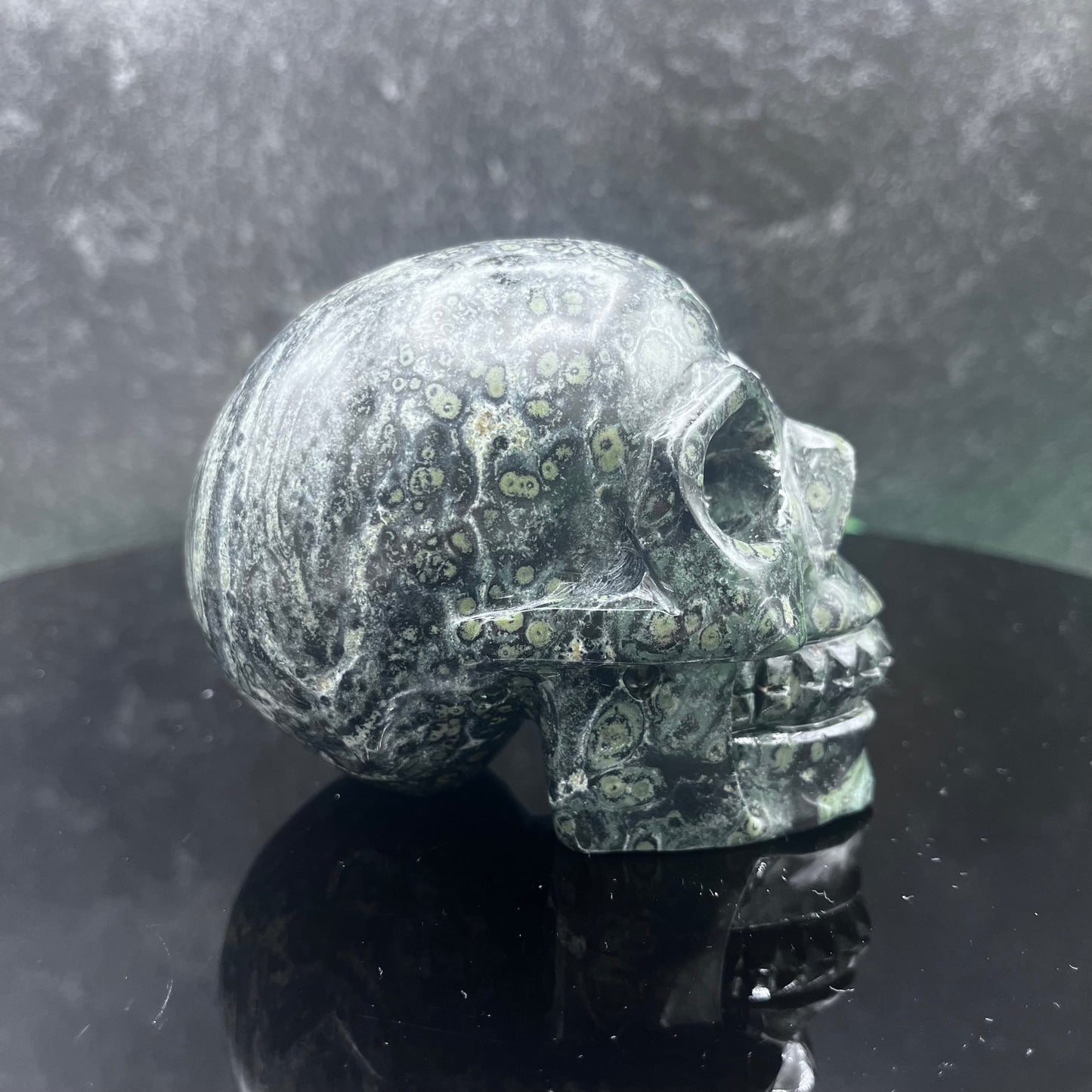 Kambaba Jasper Skull