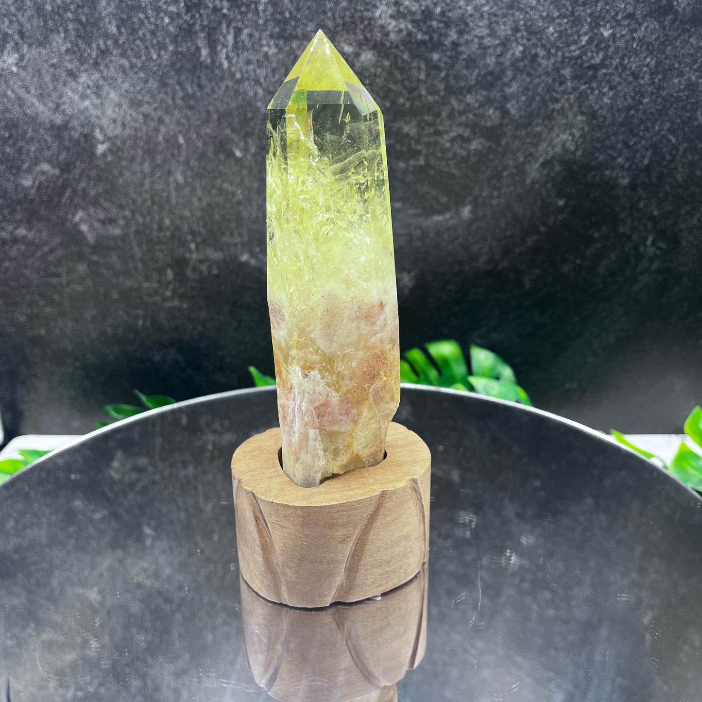 Ouro Verde Quartz in Wooden Stand