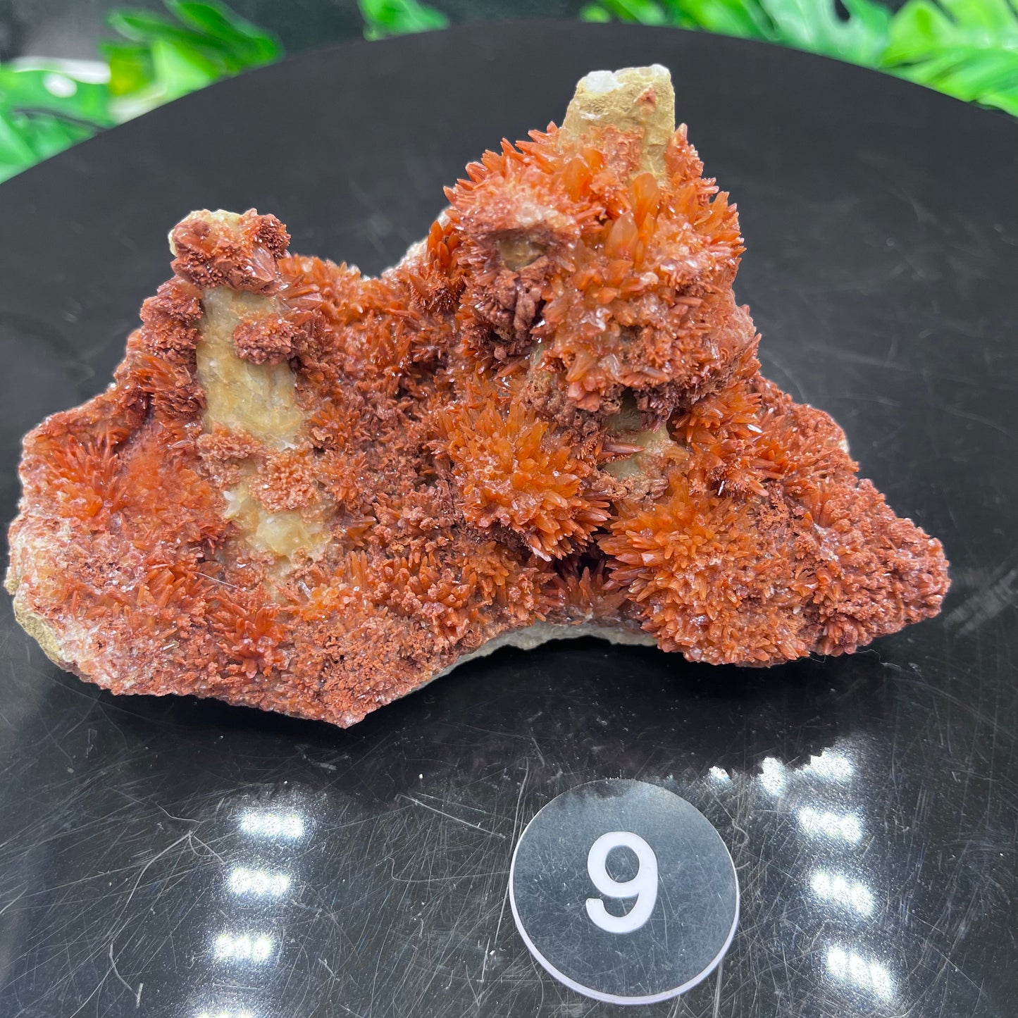 Starry Acicular Red Calcite Specimen