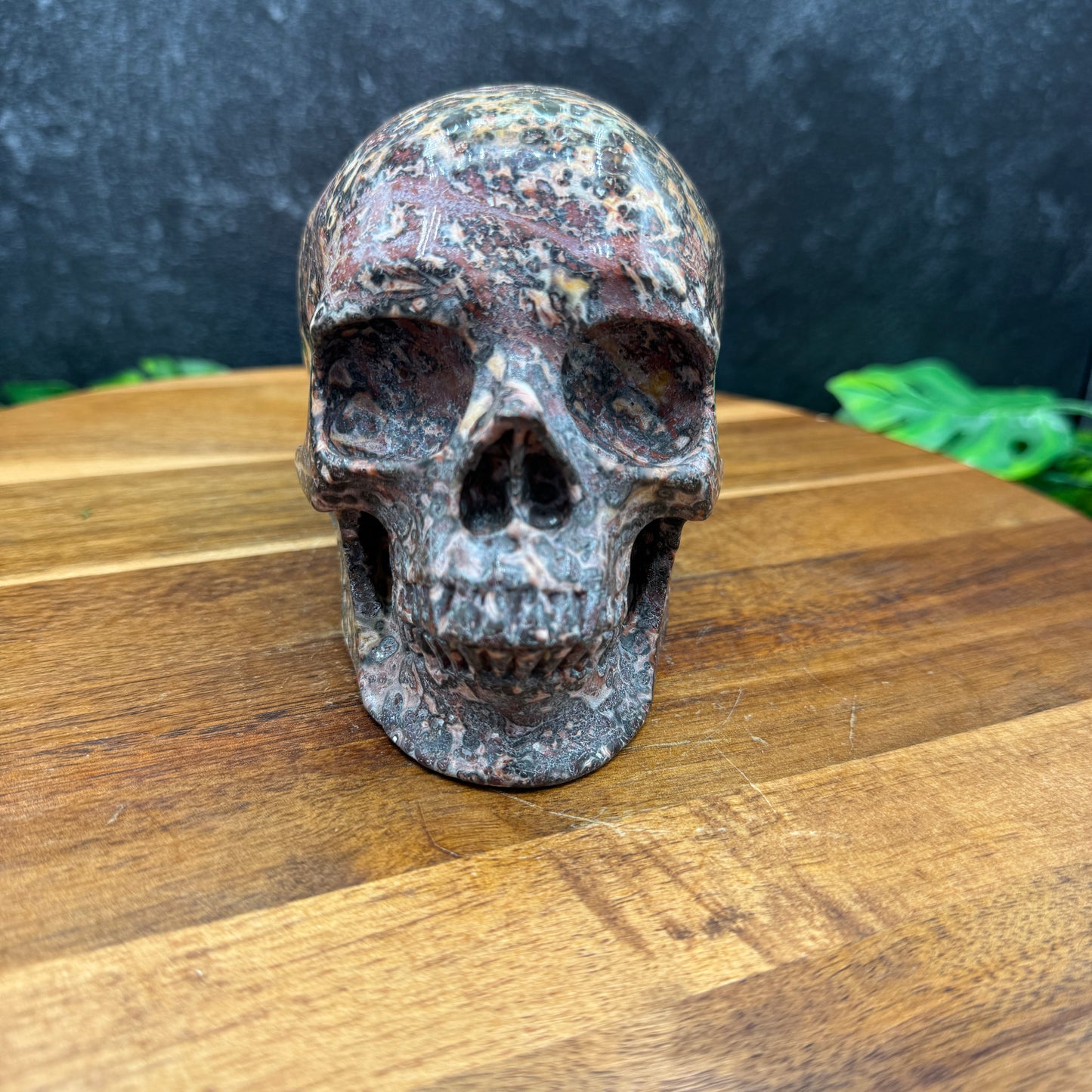 Red Leopard Skin Jasper Skull