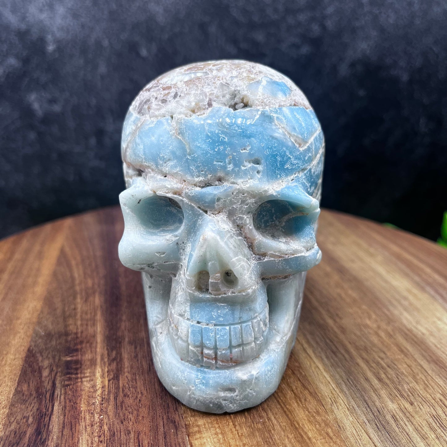 Caribbean Calcite Skull