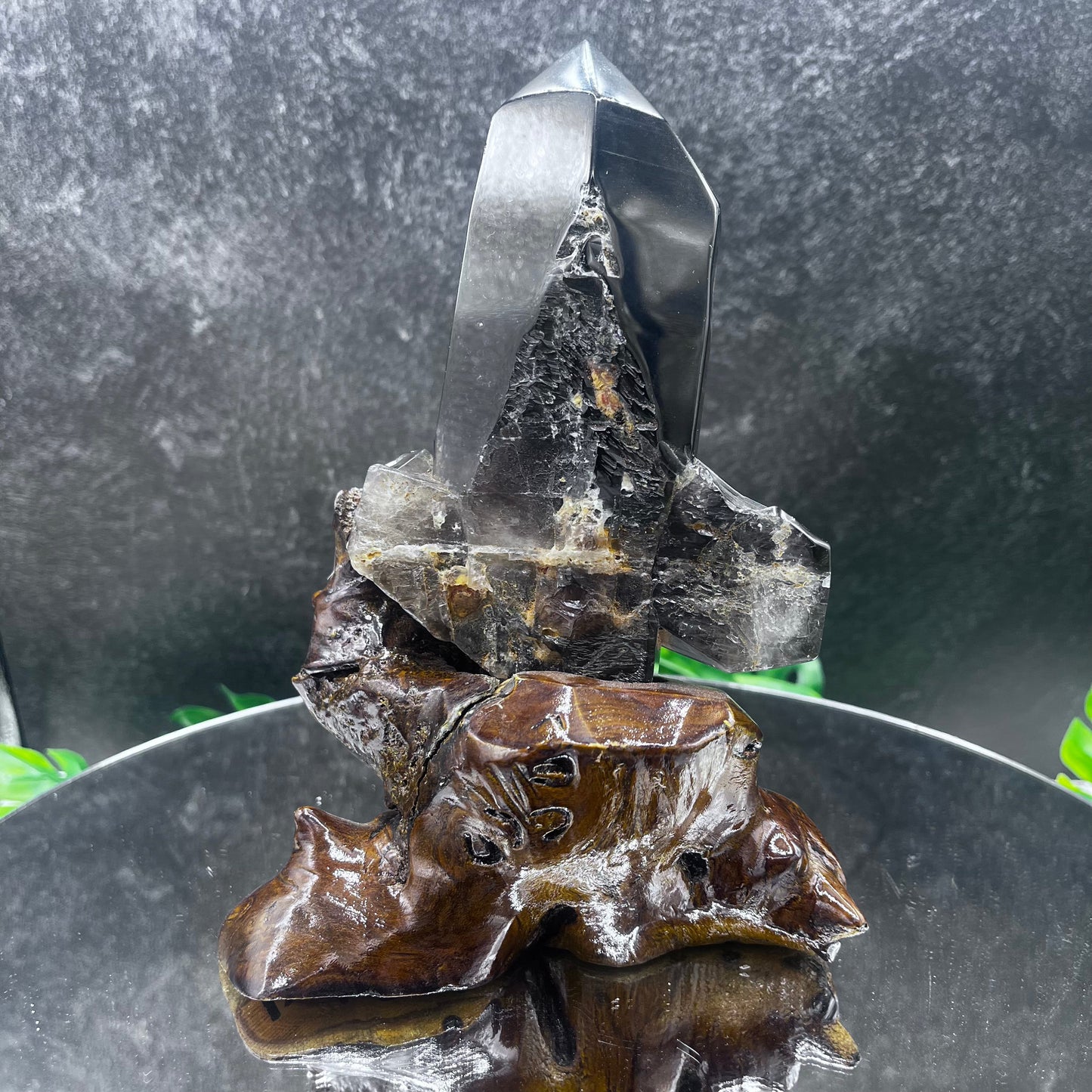 Double Smoky Tower on Stand