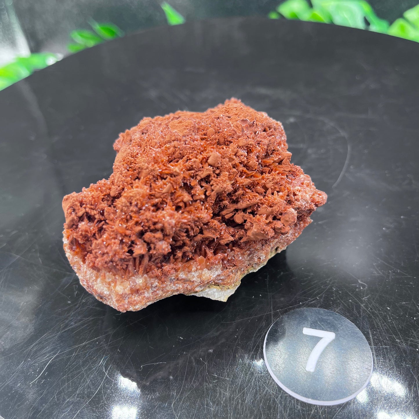 Starry Acicular Red Calcite Specimen
