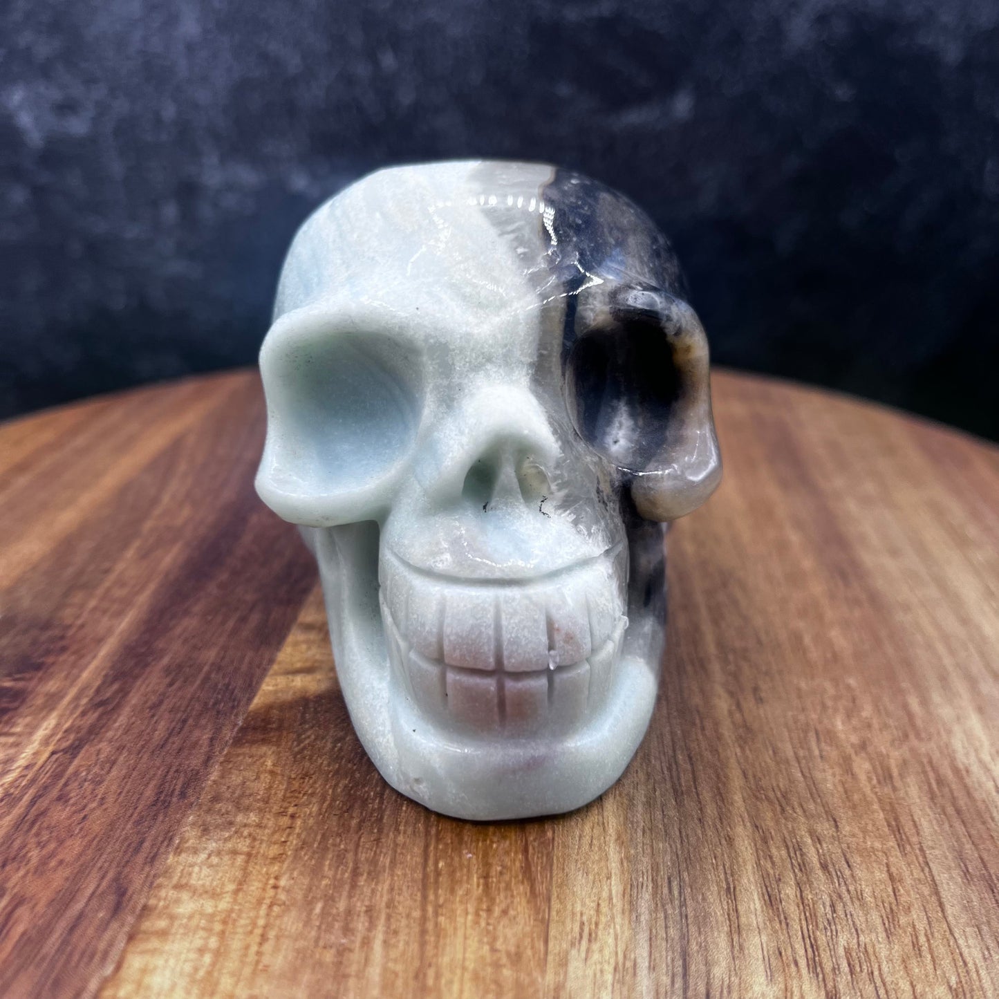 Caribbean Calcite Skull