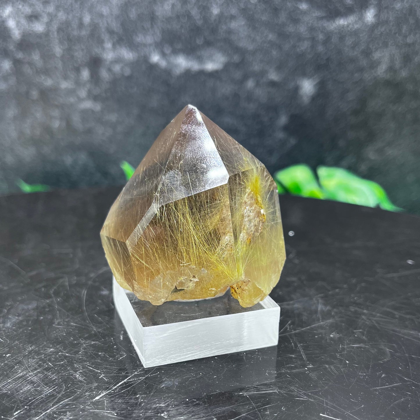Gold Rutile in Quartz Point
