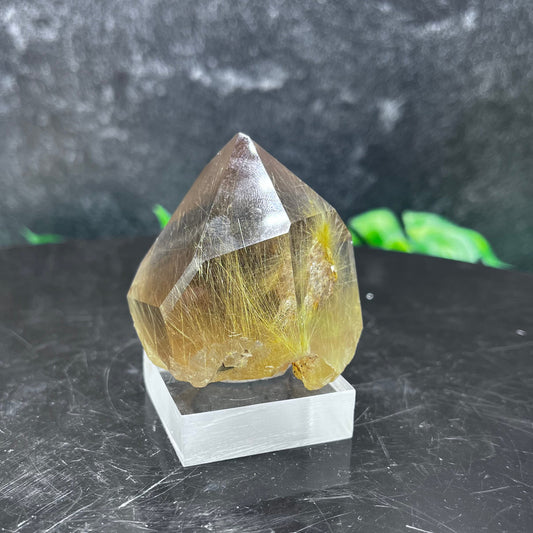 Gold Rutile in Quartz Point
