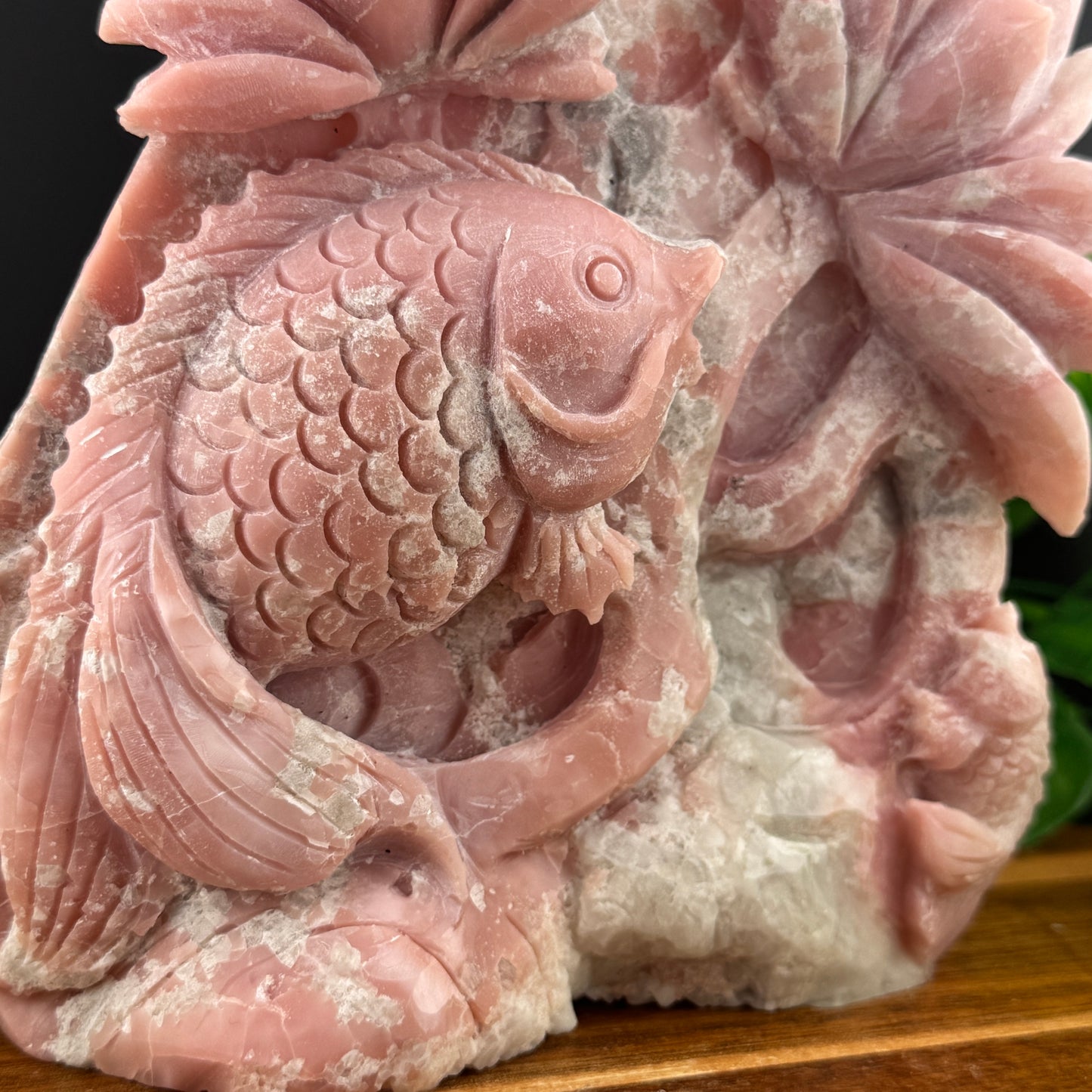 Pink Opal Tropical Fish Seascape