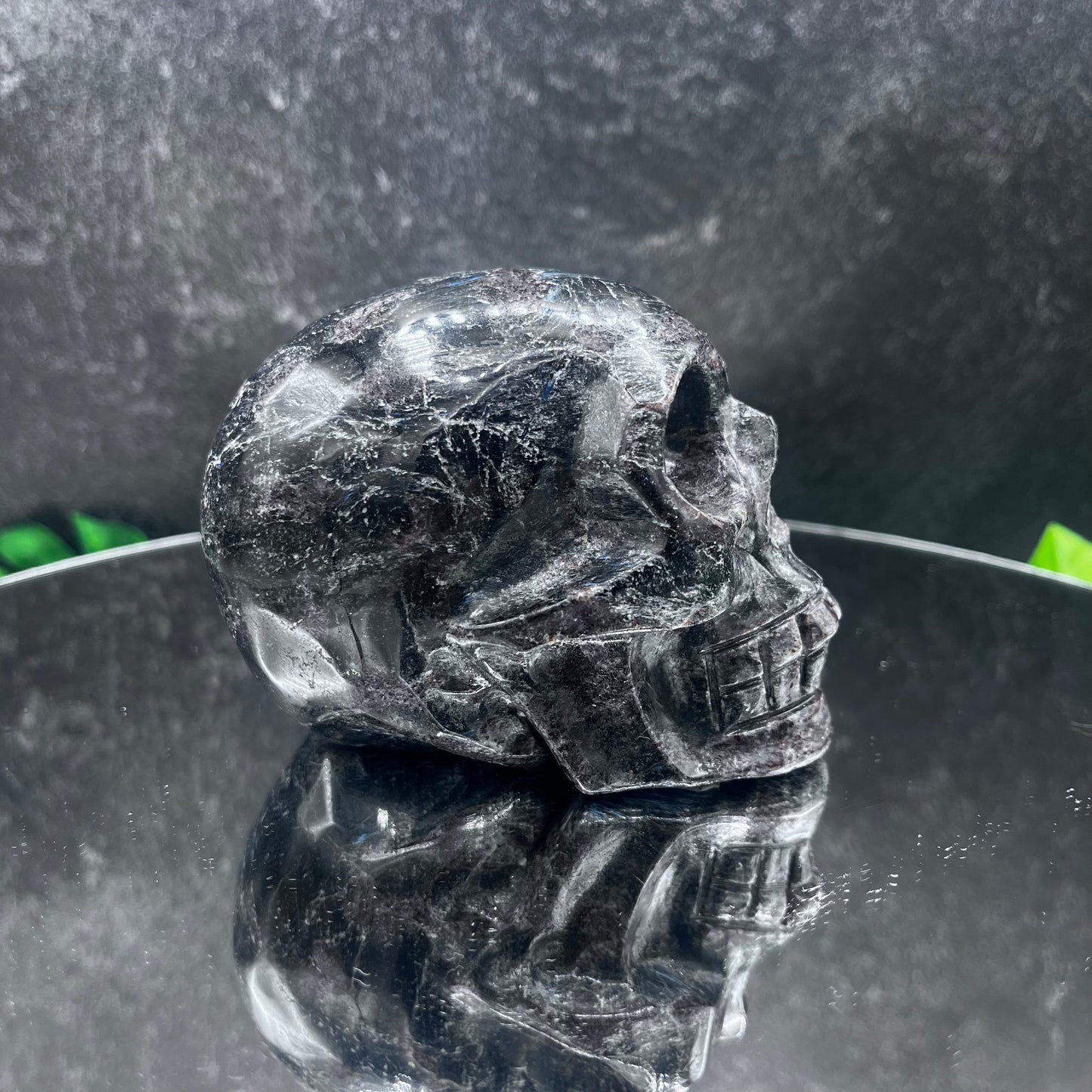 Garnet in Arfvedsonite Skull
