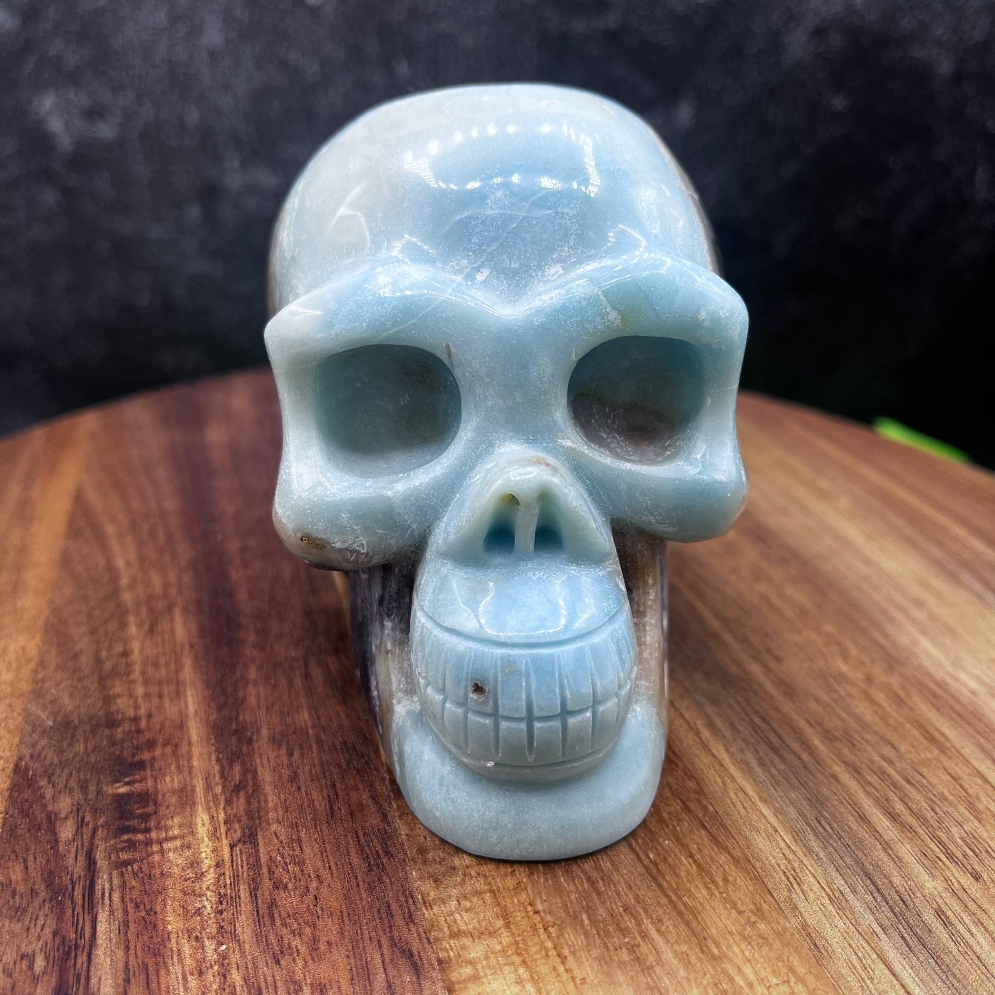 Caribbean Calcite Skull