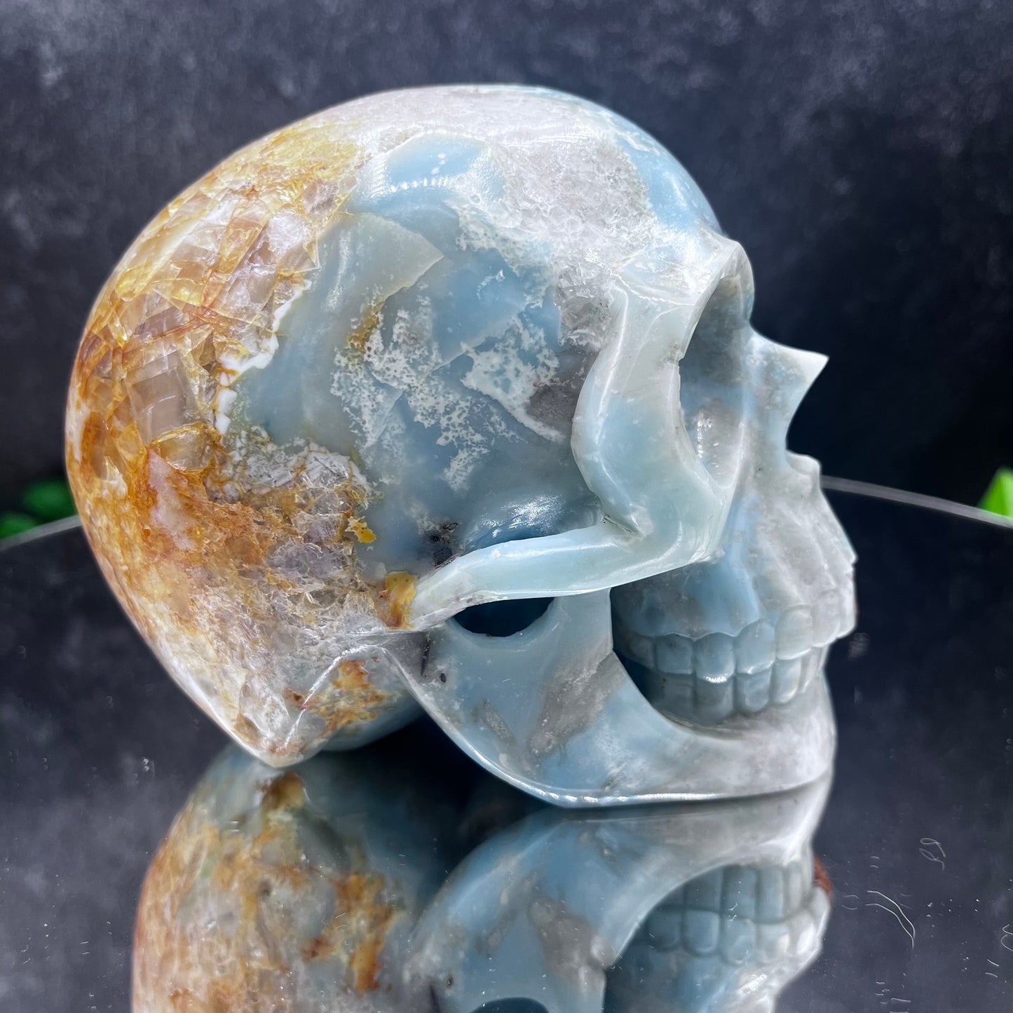 Caribbean Calcite Skull
