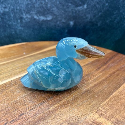 Blue Onyx Duck