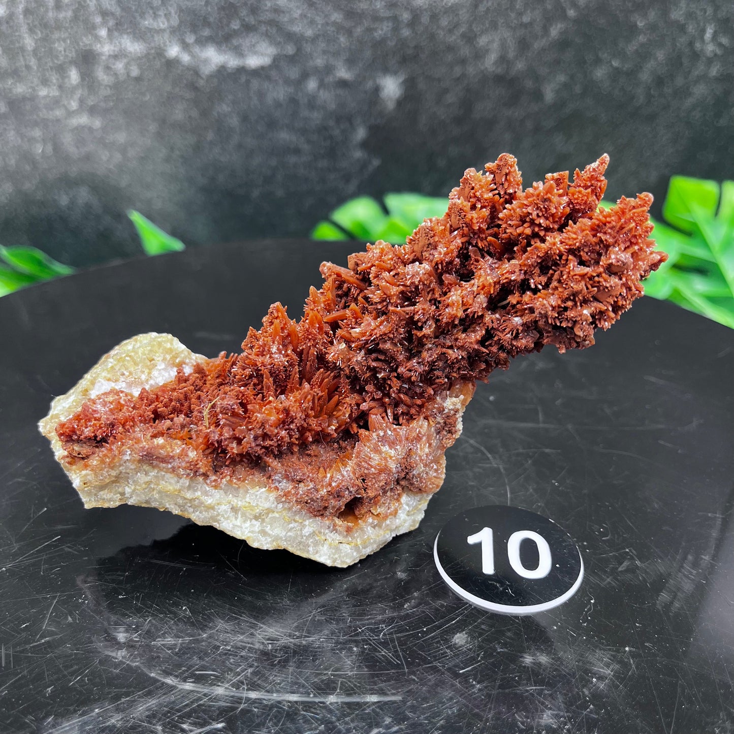 Starry Acicular Red Calcite Specimen